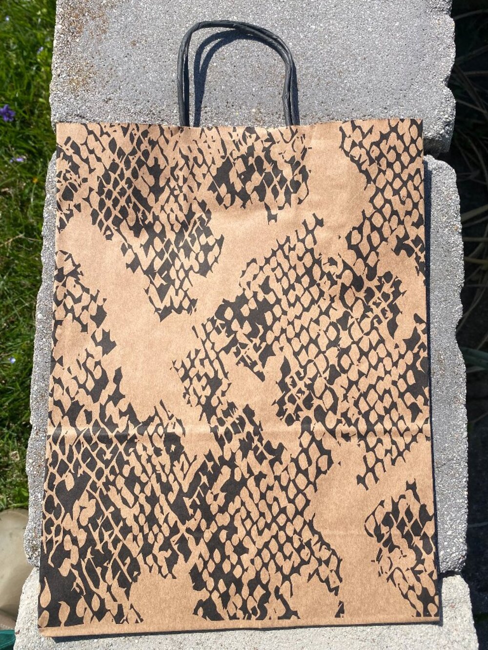 Brown and Black Paper Shopping Bag-NEW!